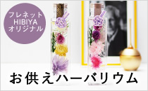 フラワナ 花の仲卸販売サイト フレネットhibiya