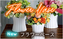 フラワナ 花の仲卸販売サイト フレネットhibiya