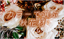 フラワナ 花の仲卸販売サイト フレネットhibiya