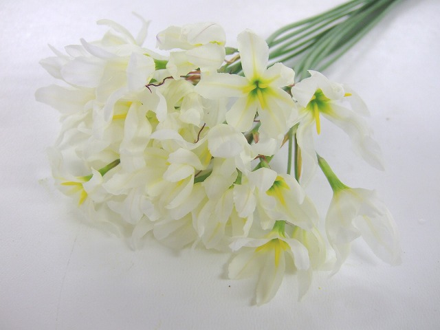 フレグランスフラワー球根花 フラワナ 21年1月 フレネットhibiya フレグランスフラワー球根花 フラワナ 21年1月 フレネットhibiya